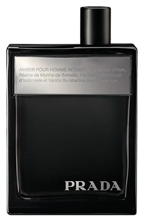 prada amber pour homme notes|Prada pour homme intense.